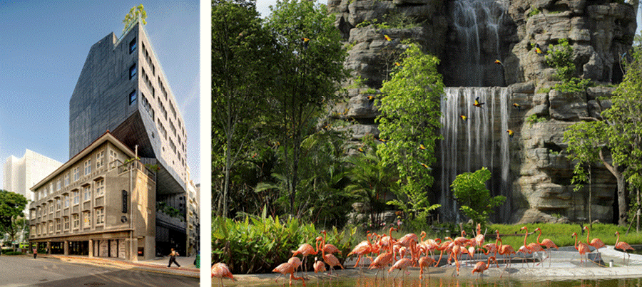 Side-by-side images of a contemporary building with a heritage shophouse base on a city street, and flamingos wading before a rocky waterfall in a lush wildlife habitat.