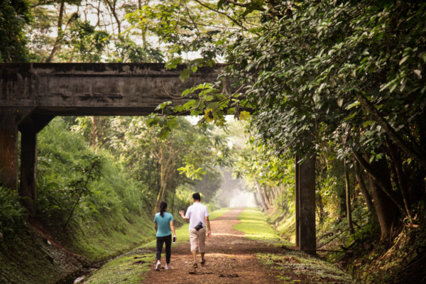 Two people walking on a tree-lined path under a concrete bridge.