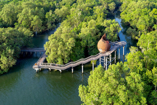 Aerial view of Sungei Buloh Wetland Reserve with wooden boardwalks and a bird-shaped observation pod amidst dense mangroves.