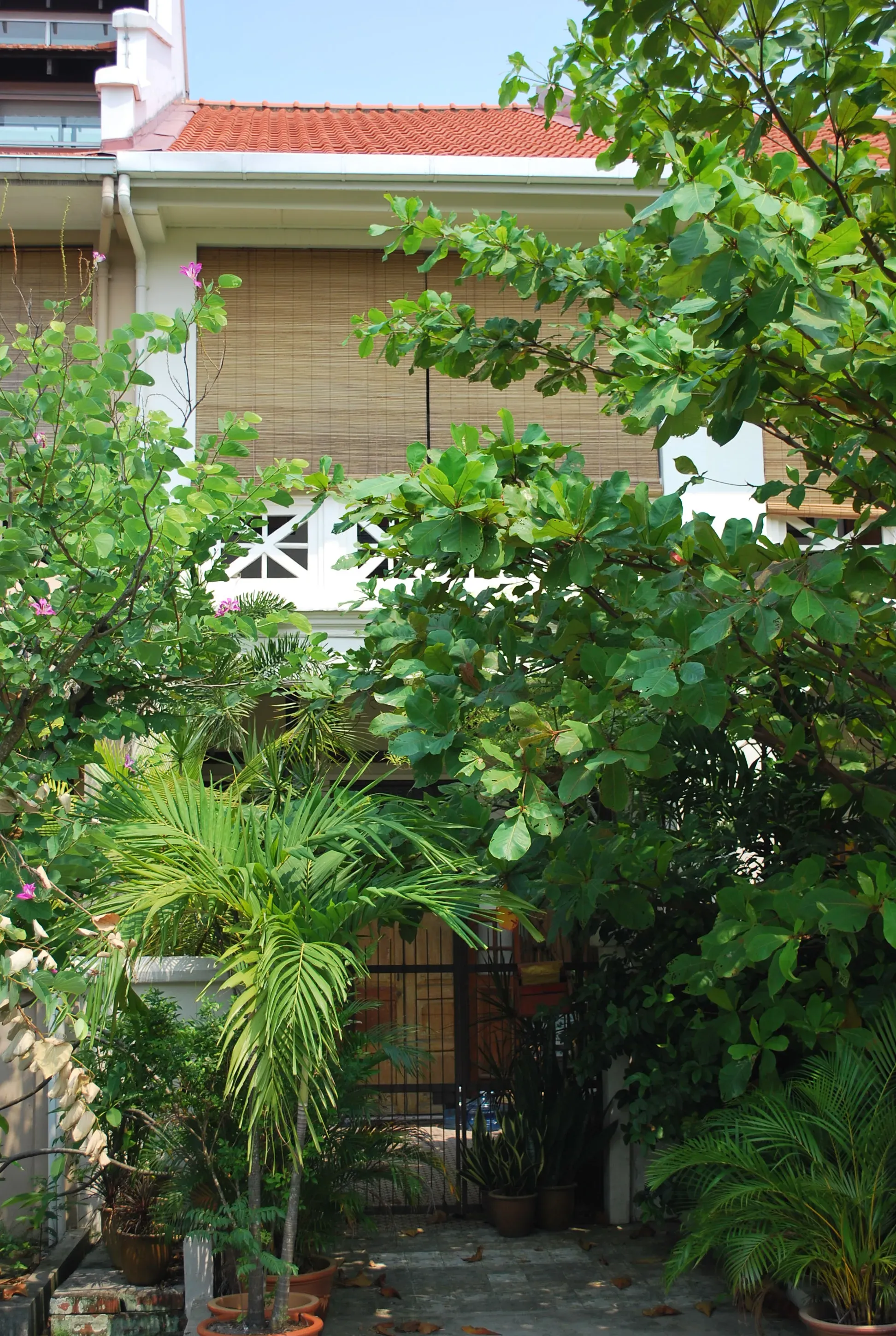 Front facade of 34 Chapel Road