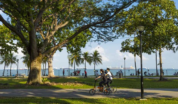 Two cyclists riding on a path in a park by the sea. Trees, benches, and distant ships visible.