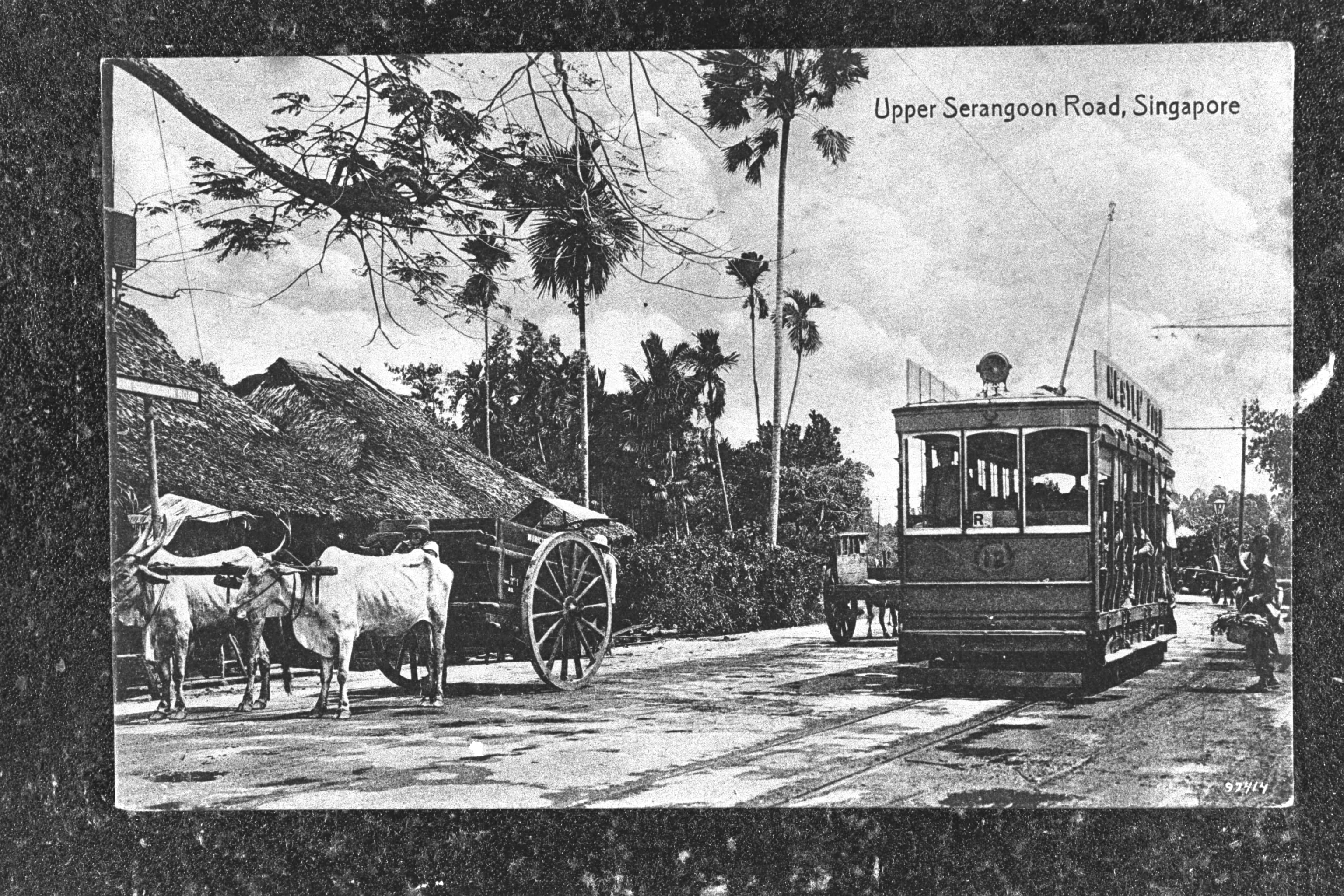 1910s Bullock Cart& Electric Tram along Upp Serangoon Rd