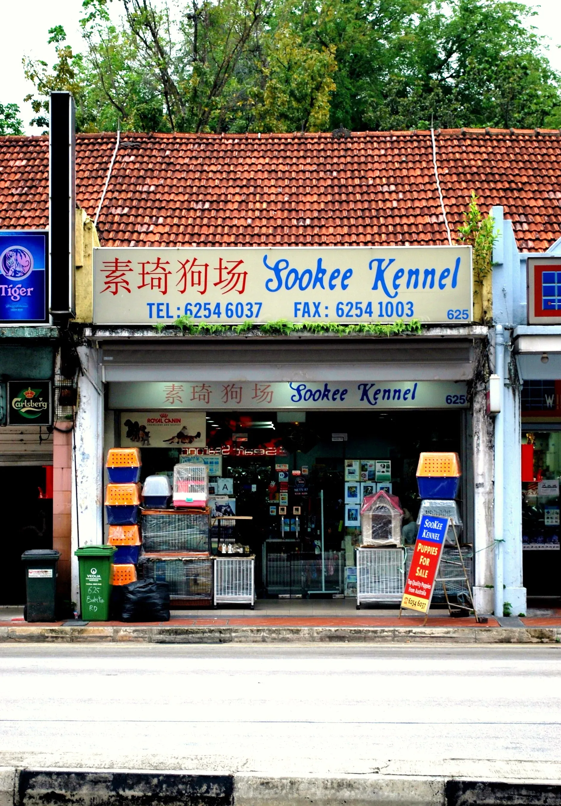 Front facade of 625 Balestier Road