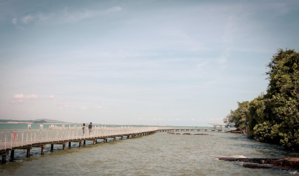 A wooden pier extends into the ocean on a clear day. Two people are on the pier. Trees line the shore.
