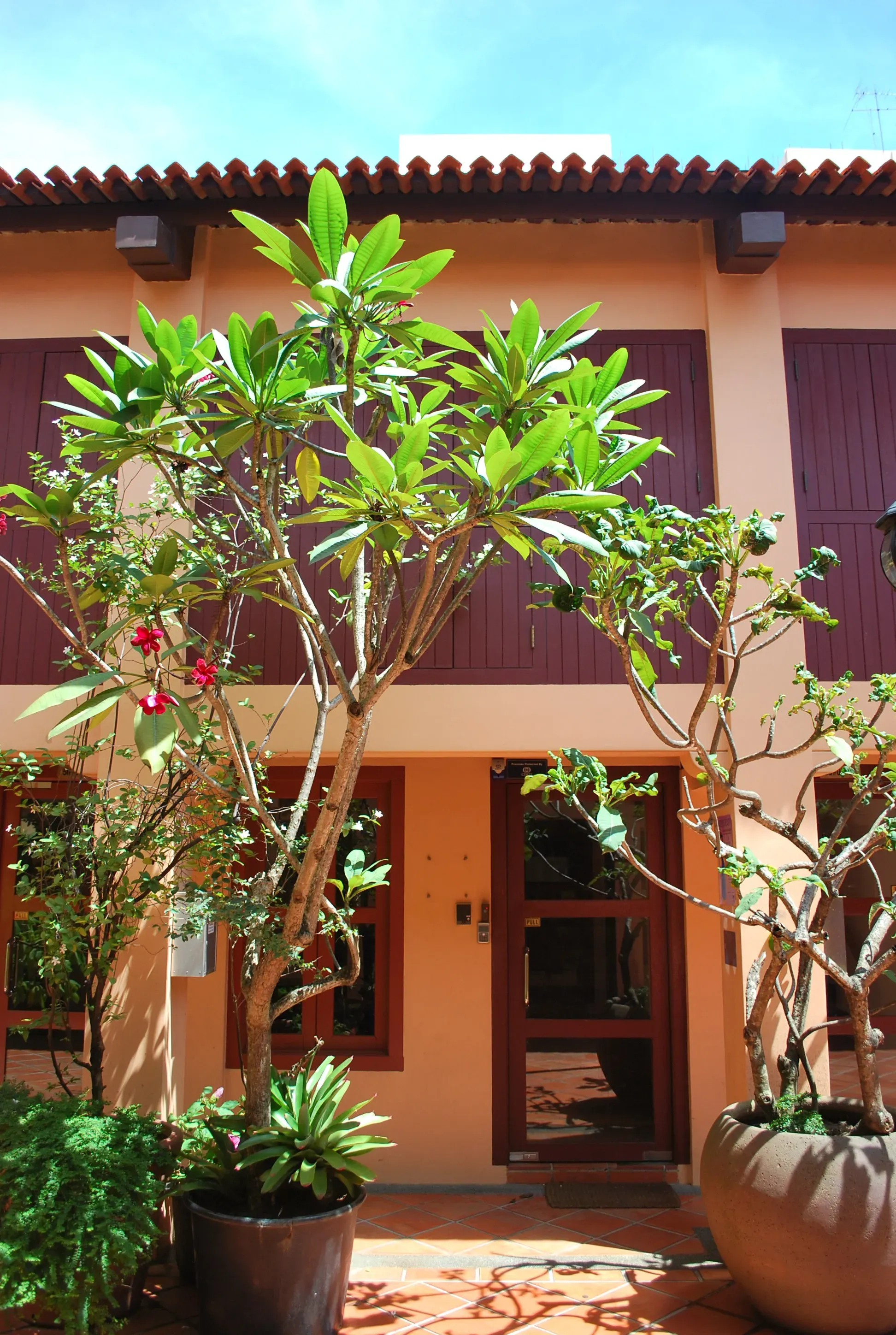 Front facade of 44 Prinsep Street