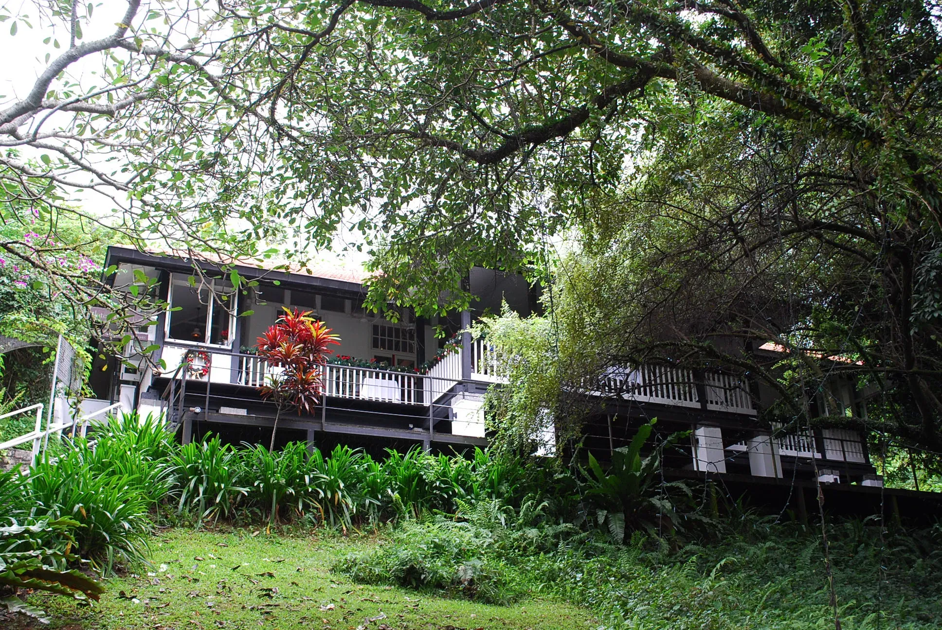 Front facade of 21 Lewin Terrace