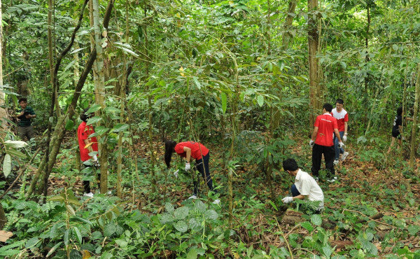 Volunteers cleaning up trash in a dense, green forest. They are wearing gloves and t-shirts.