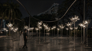 Couples walk among illuminated tree-like light sculptures at night
