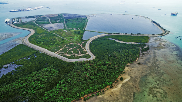 Aerial view of an island with a lake, forest, and road.