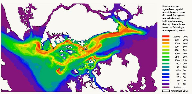 Map showing coral larvae density dispersal following a spawning event. Color gradient from green to red indicates increasing density.