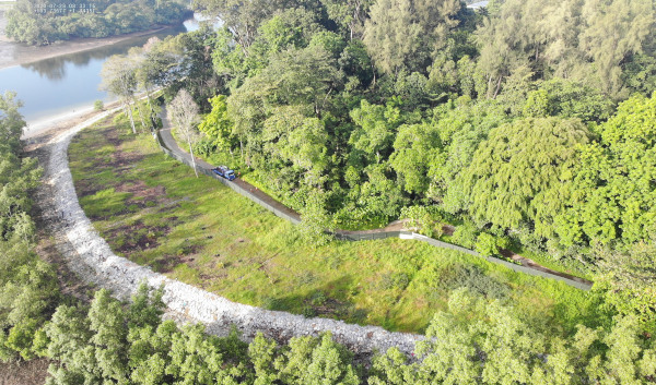 Aerial view of a coastal road lined with trees and a river, with a blue car on the road.