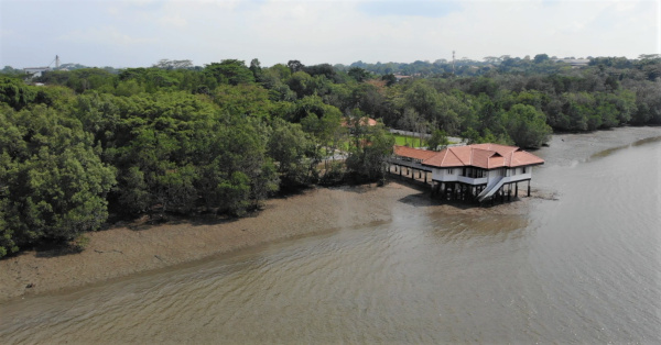 House on stilts at water's edge with dense green trees around it.