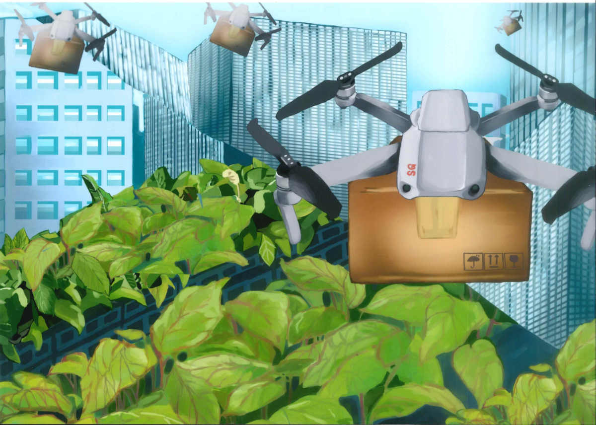 Illustration of drones delivering packages over a field of green plants in a city.