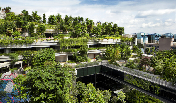 Multi-level building with lush green vegetation on rooftops and terraces. Urban landscape with skybridge.