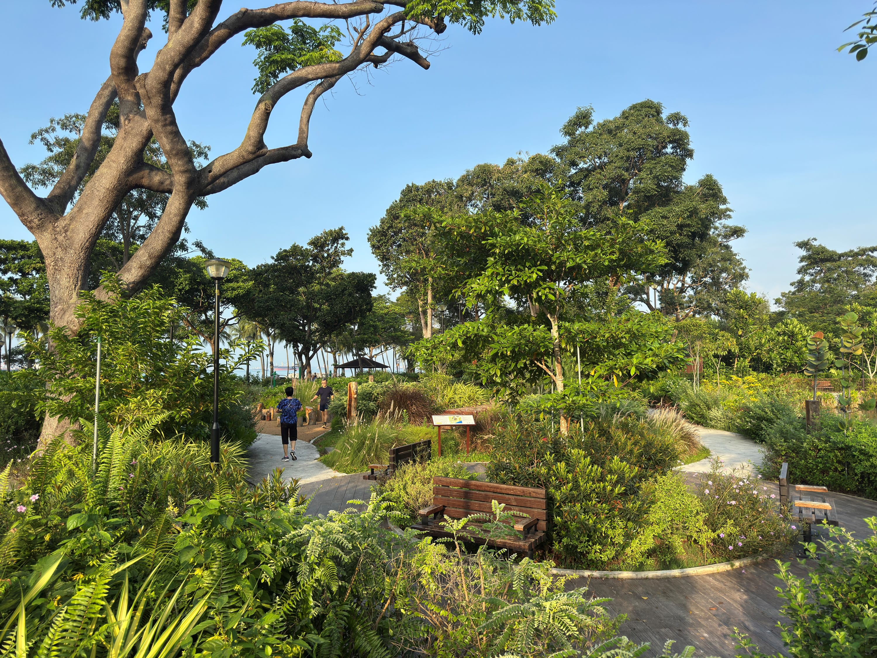 Photo of a garden
