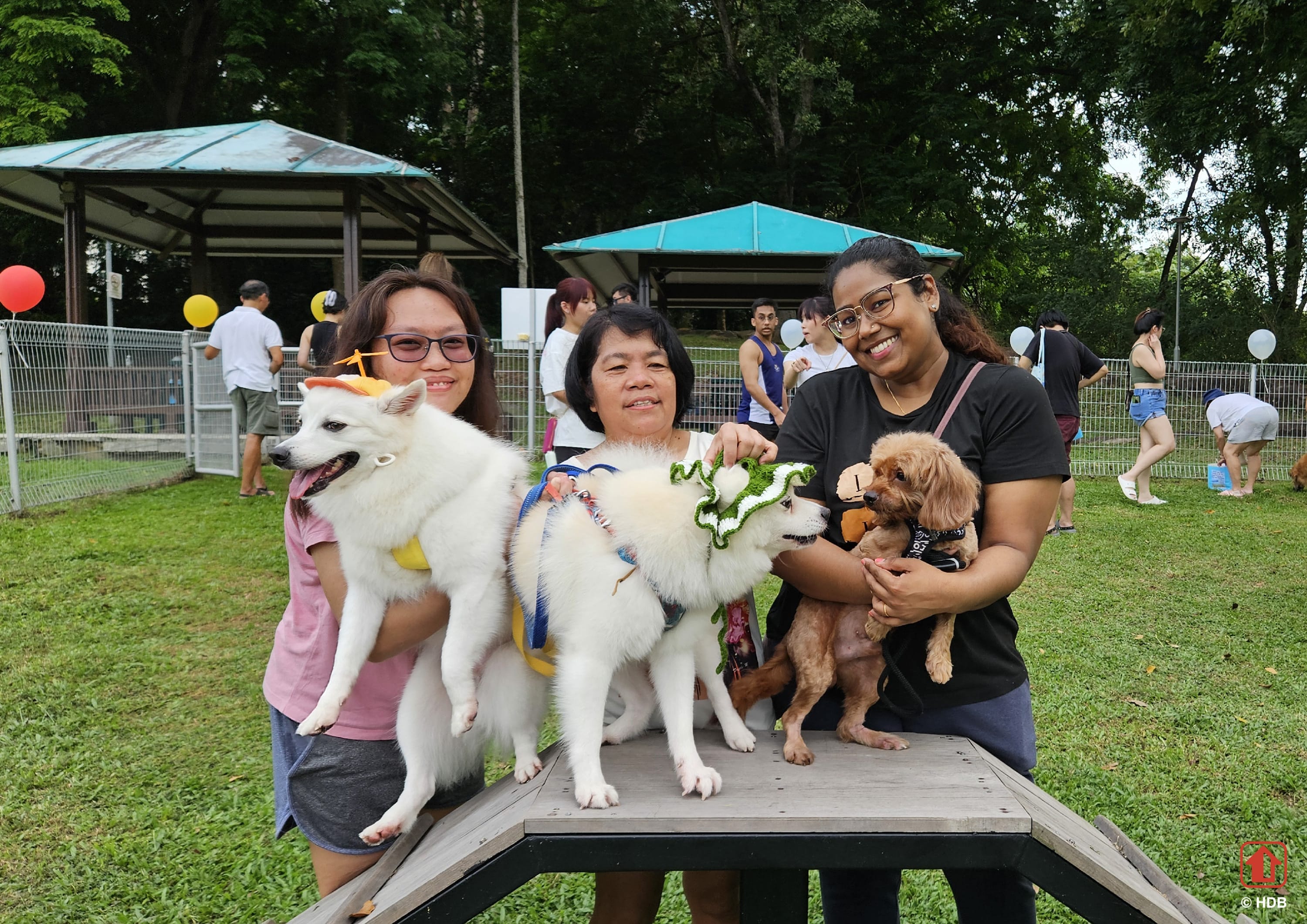People with their dogs in a park