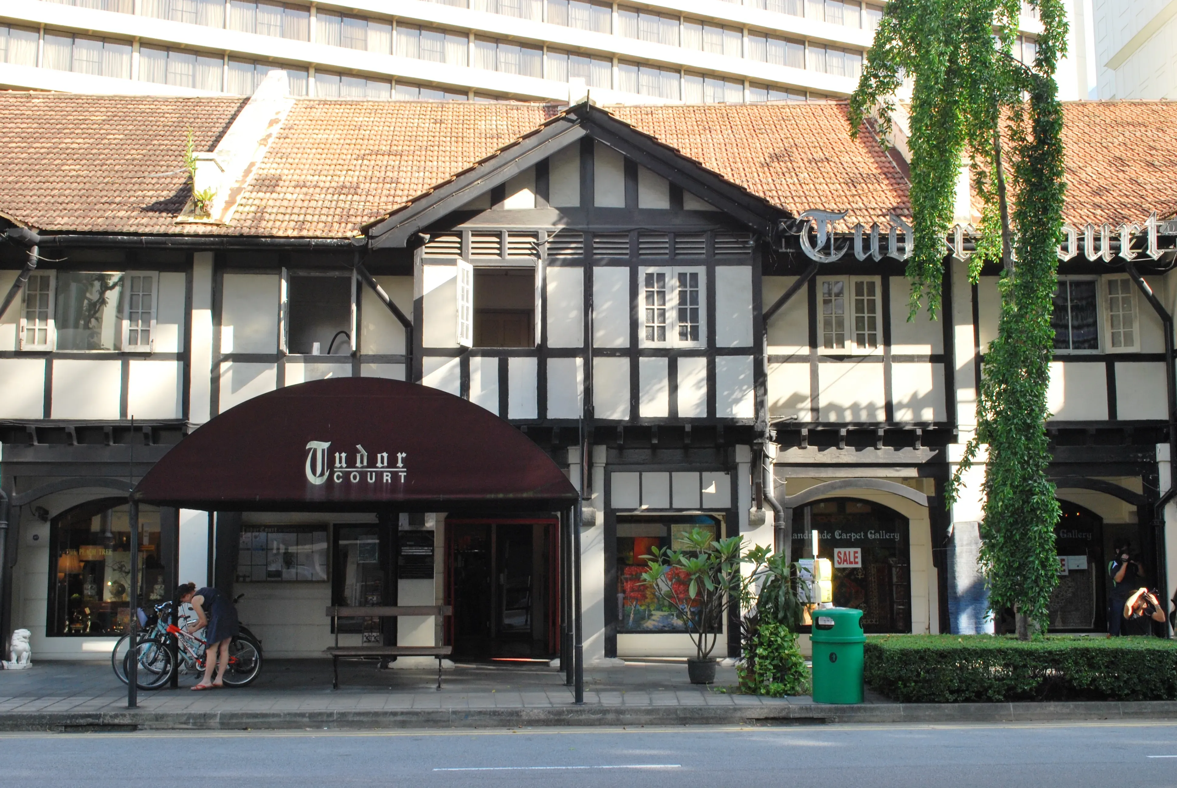 Front facade of 133 Tanglin Road