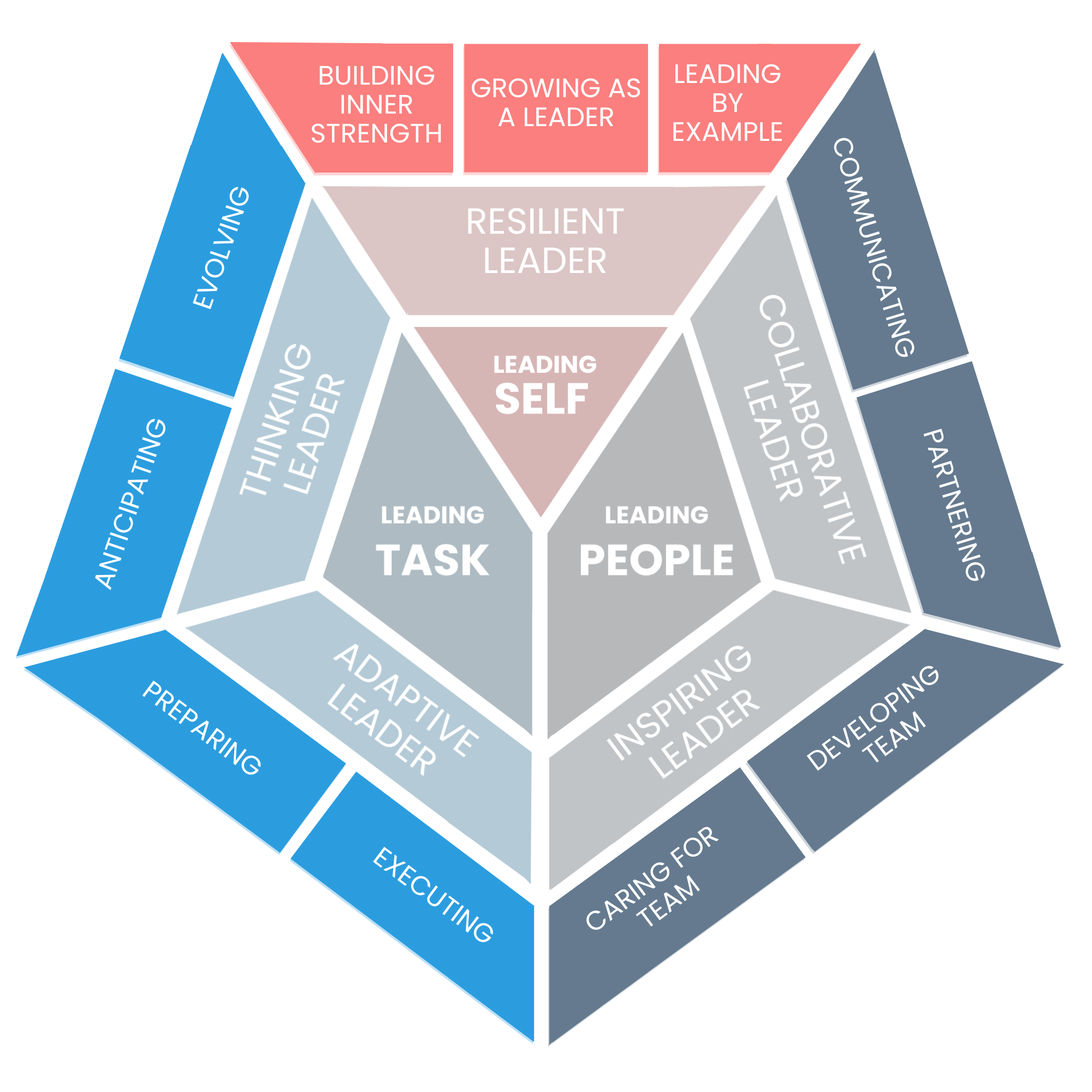 ICA leadership competency framework image