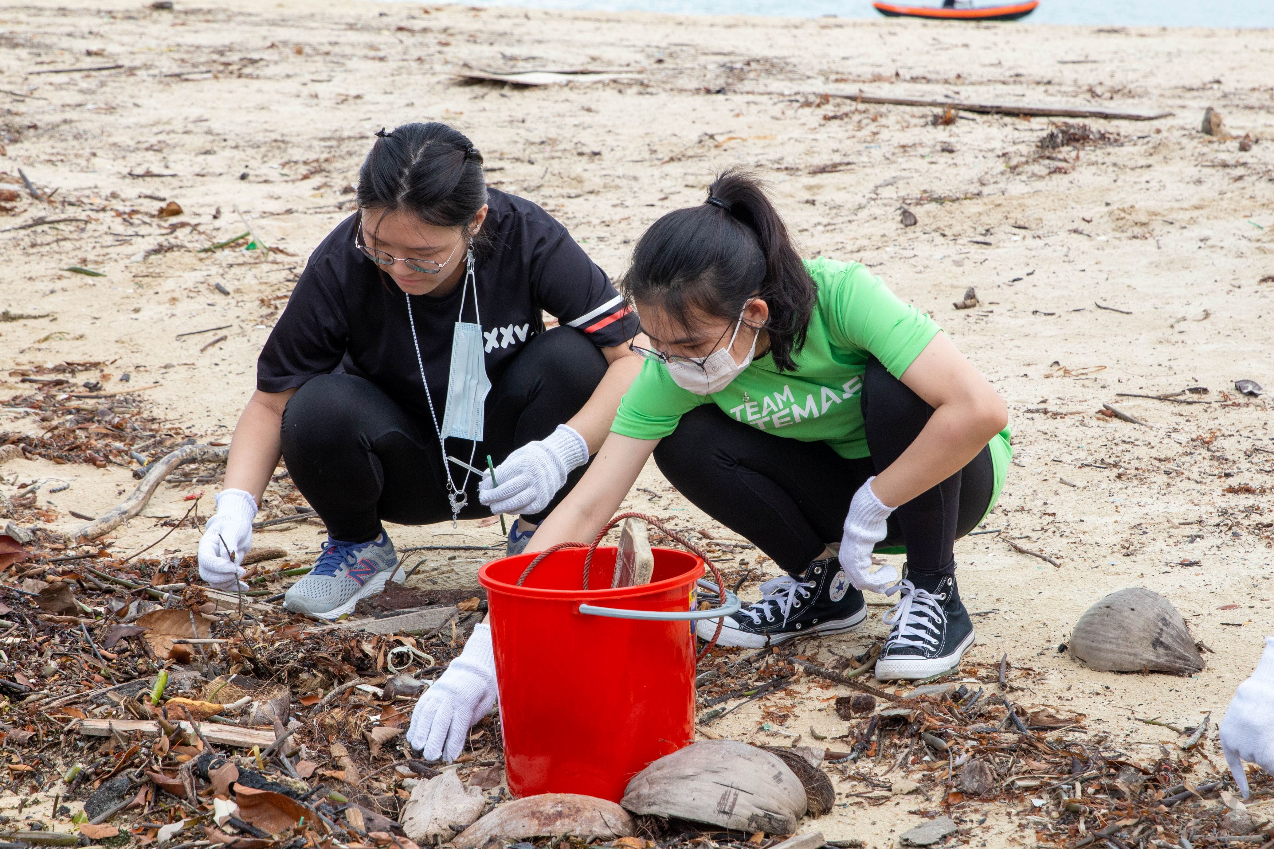 Image of student volunteers participating in a beach clean-up