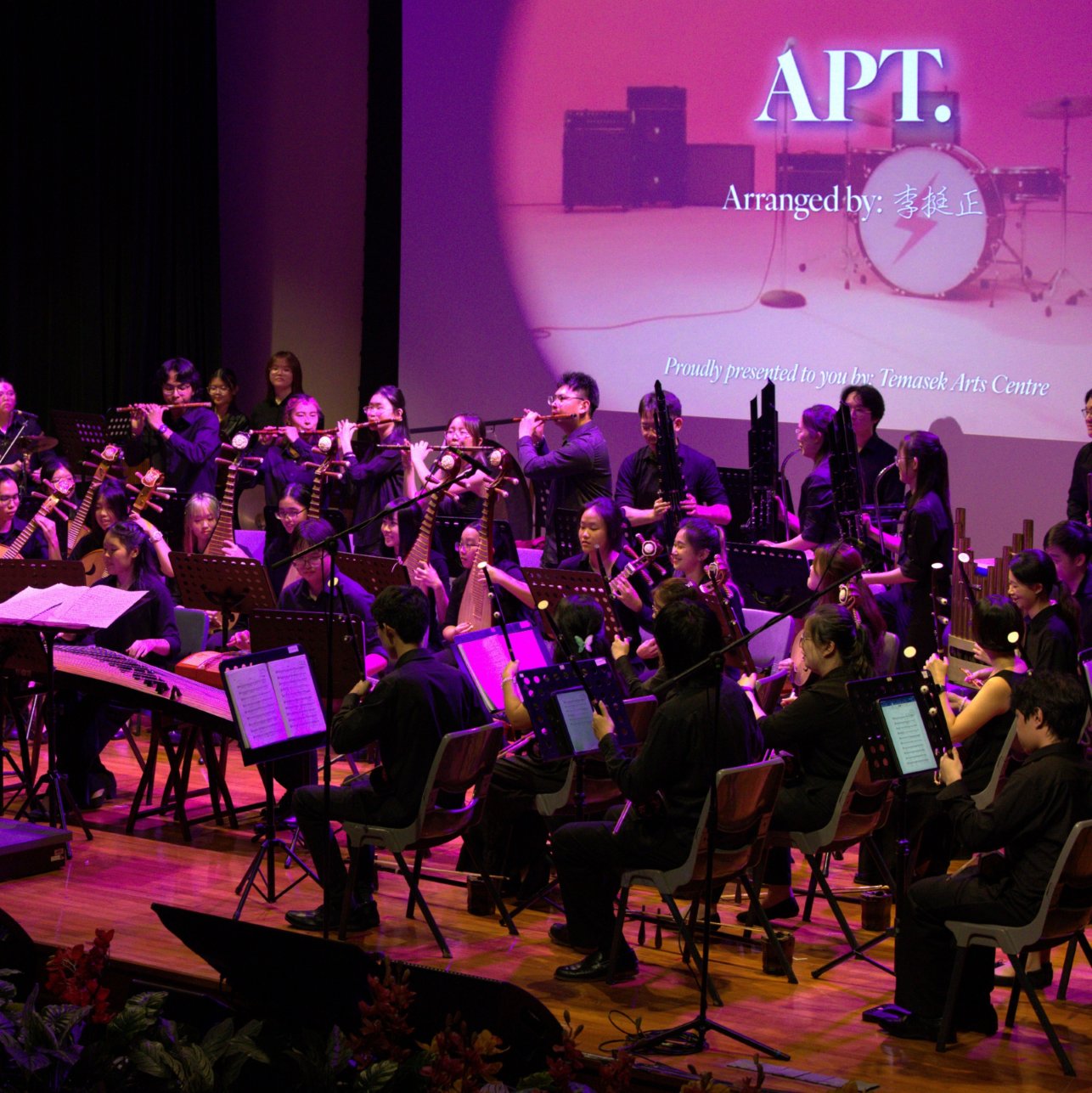 Image of TP Chinese Orchestra performing at a concert 6
