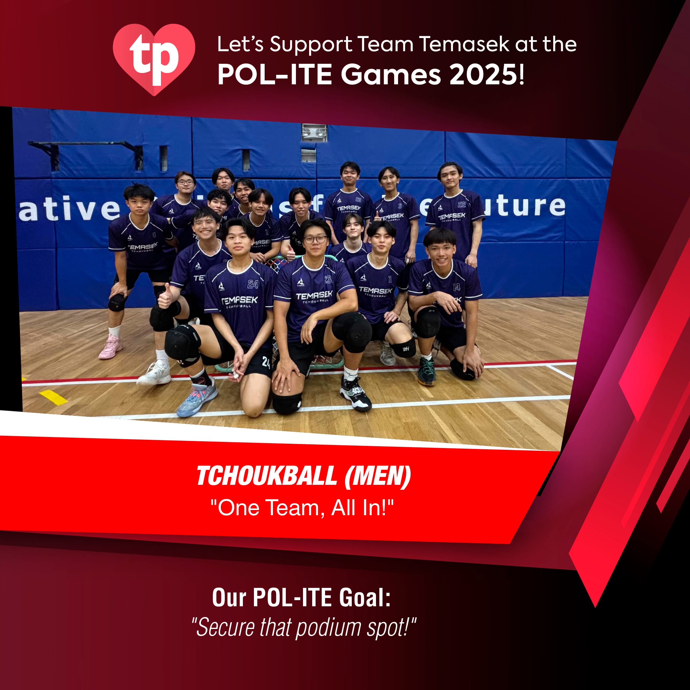 Image of TP Tchoukball men's team for POL-ITE Games