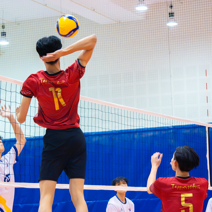 Image of Volleyball players engaging in the sport