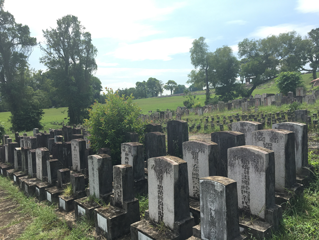 Rows of weathered stone grave markers with Chinese inscriptions in a grassy cemetery with trees.