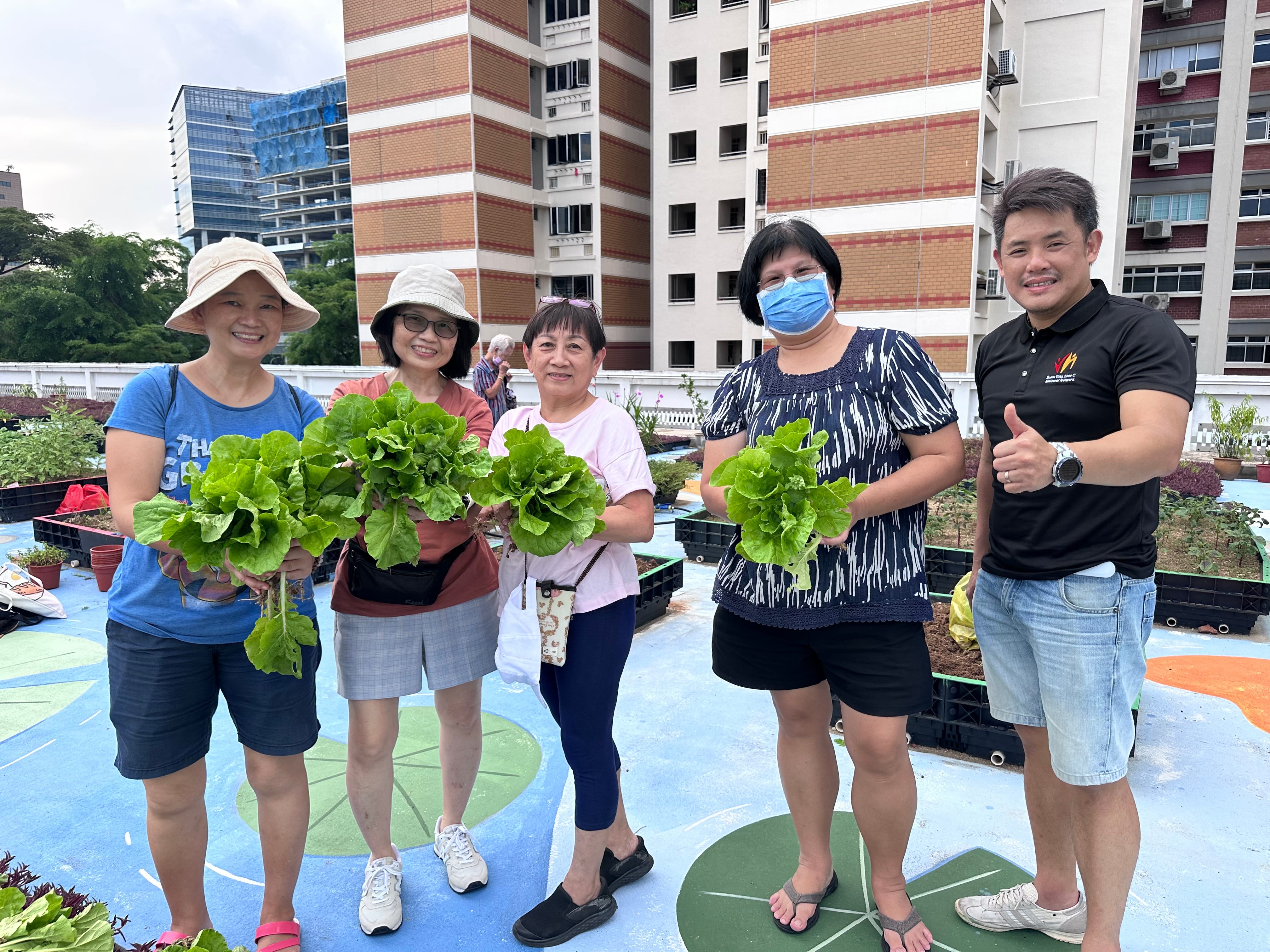 Five people holding lettuce outdoors, building in background. One person gives thumbs up.