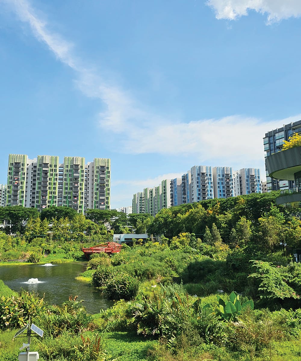 Bidadari Park and surrounding housing estate