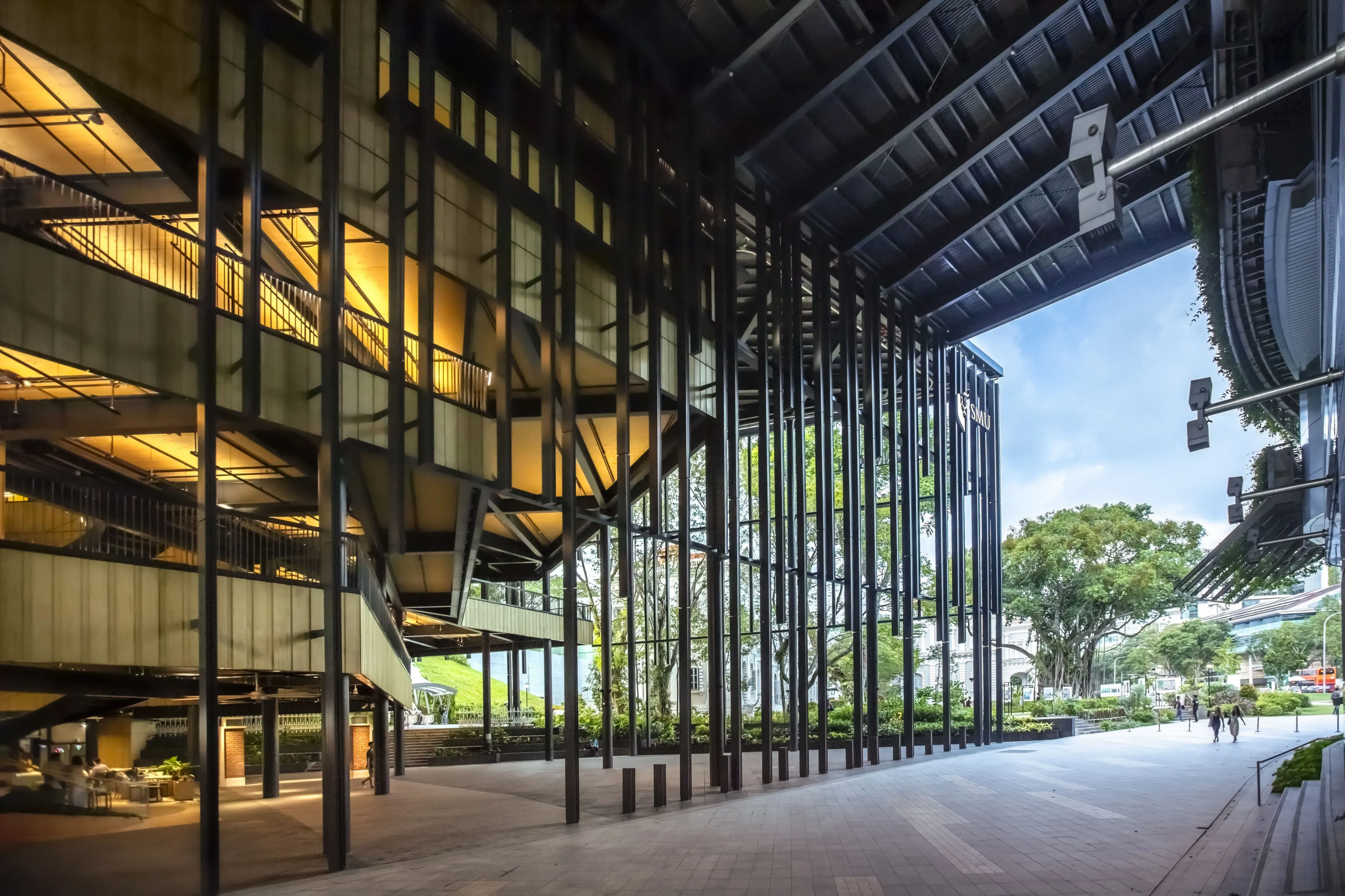 Photo of the mass engineered timber structure of the building