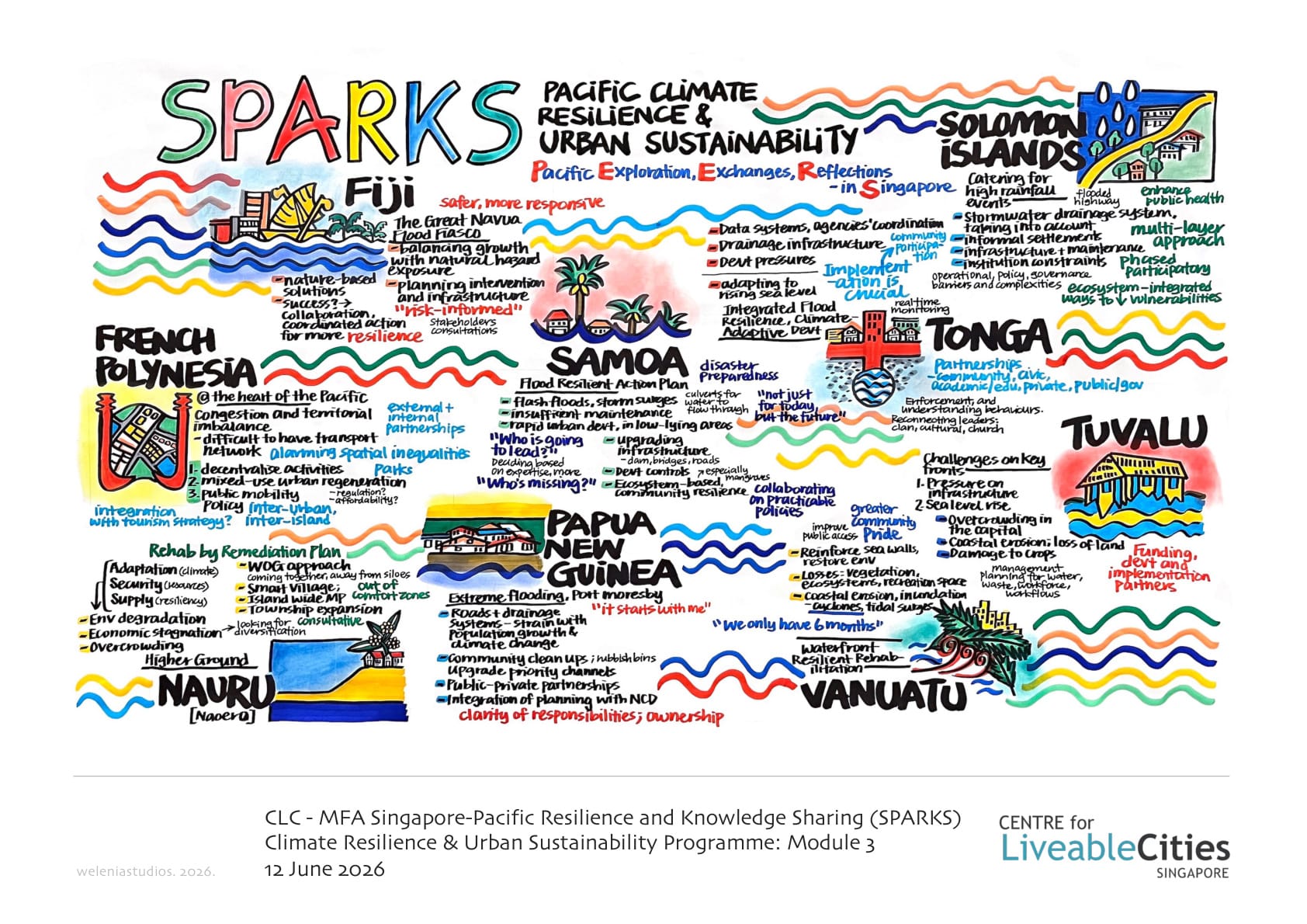 A graphic recording of all 9 participating PIF member states’ closing presentations at Module 3