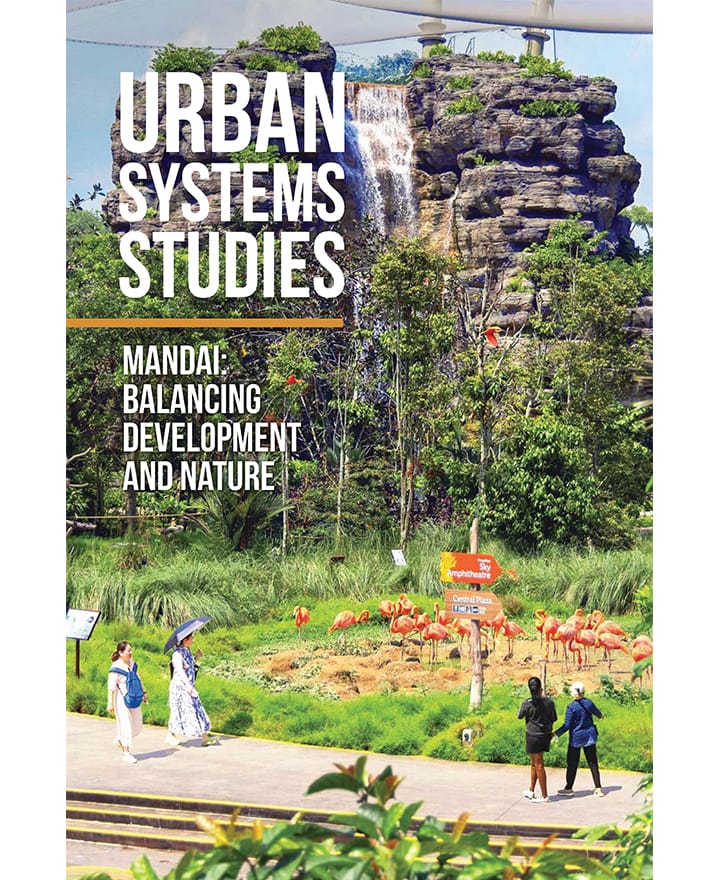 USS Mandai Cover