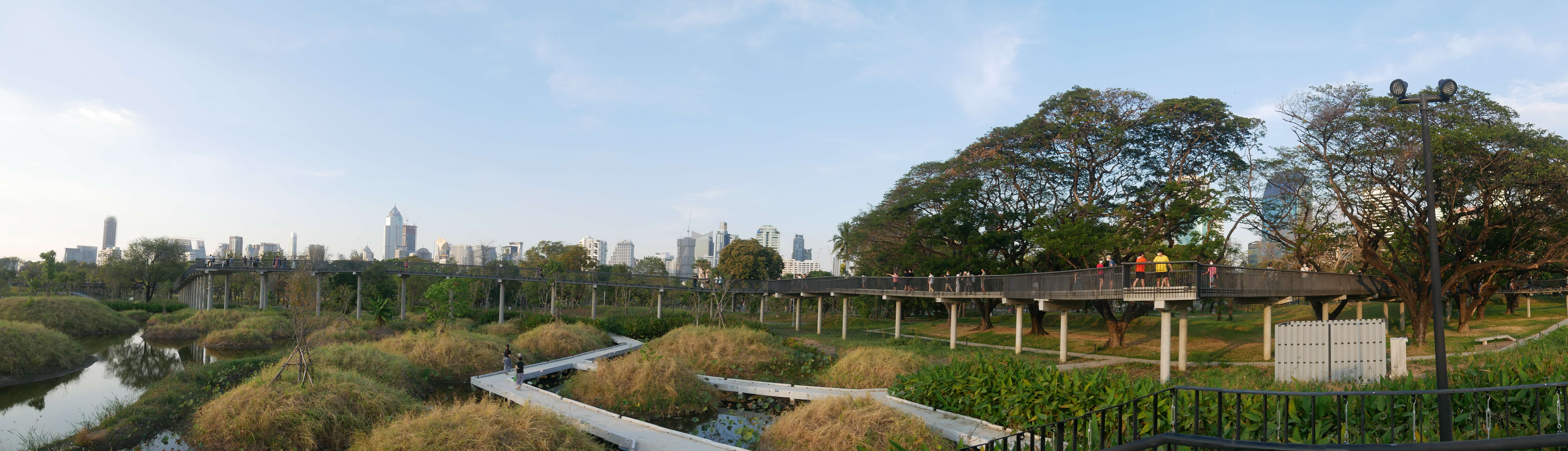 Photo of greenery in Benjakitti Forest Park, Bangkok