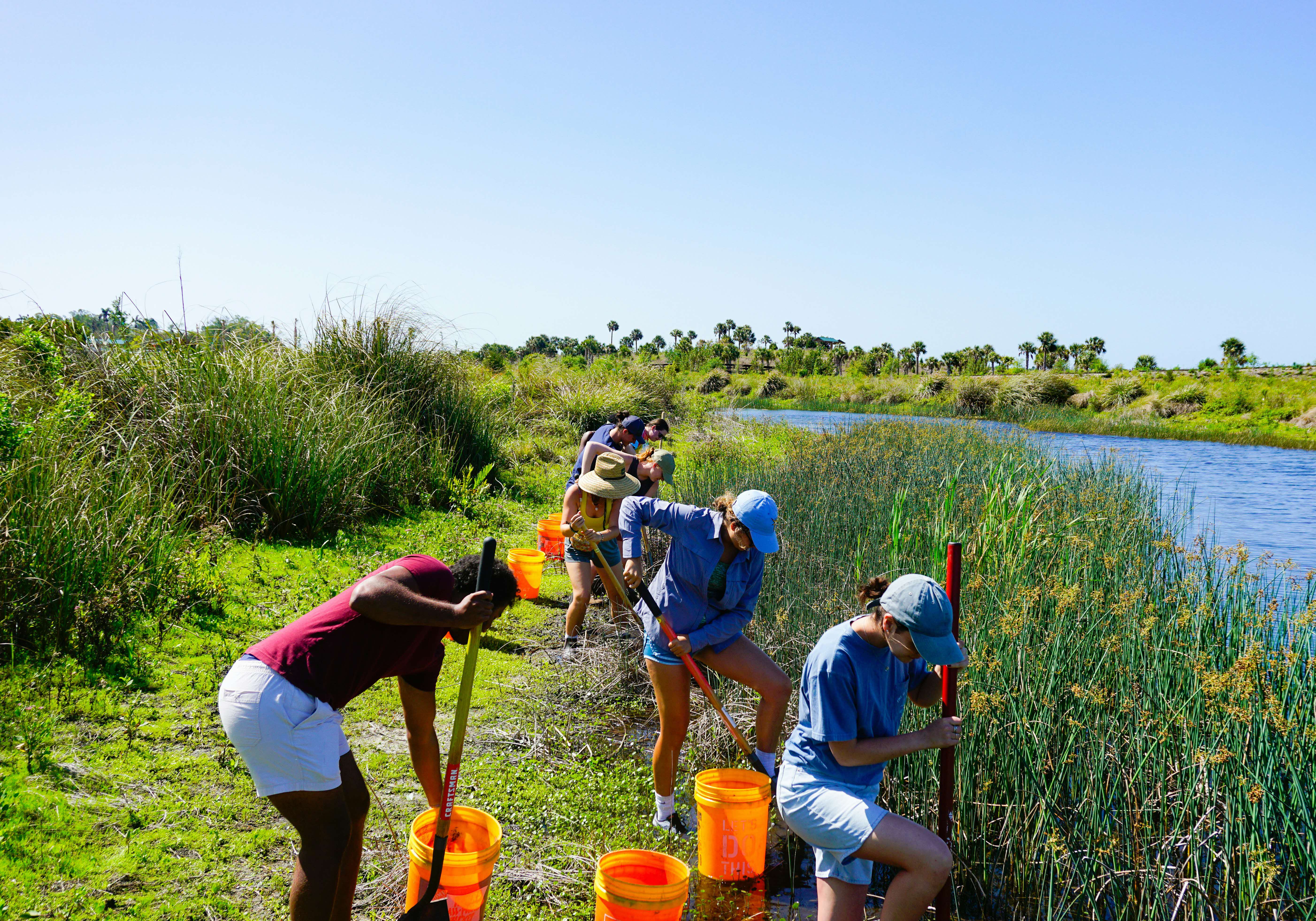 Photo of people restoring habitats at Tampa Bay