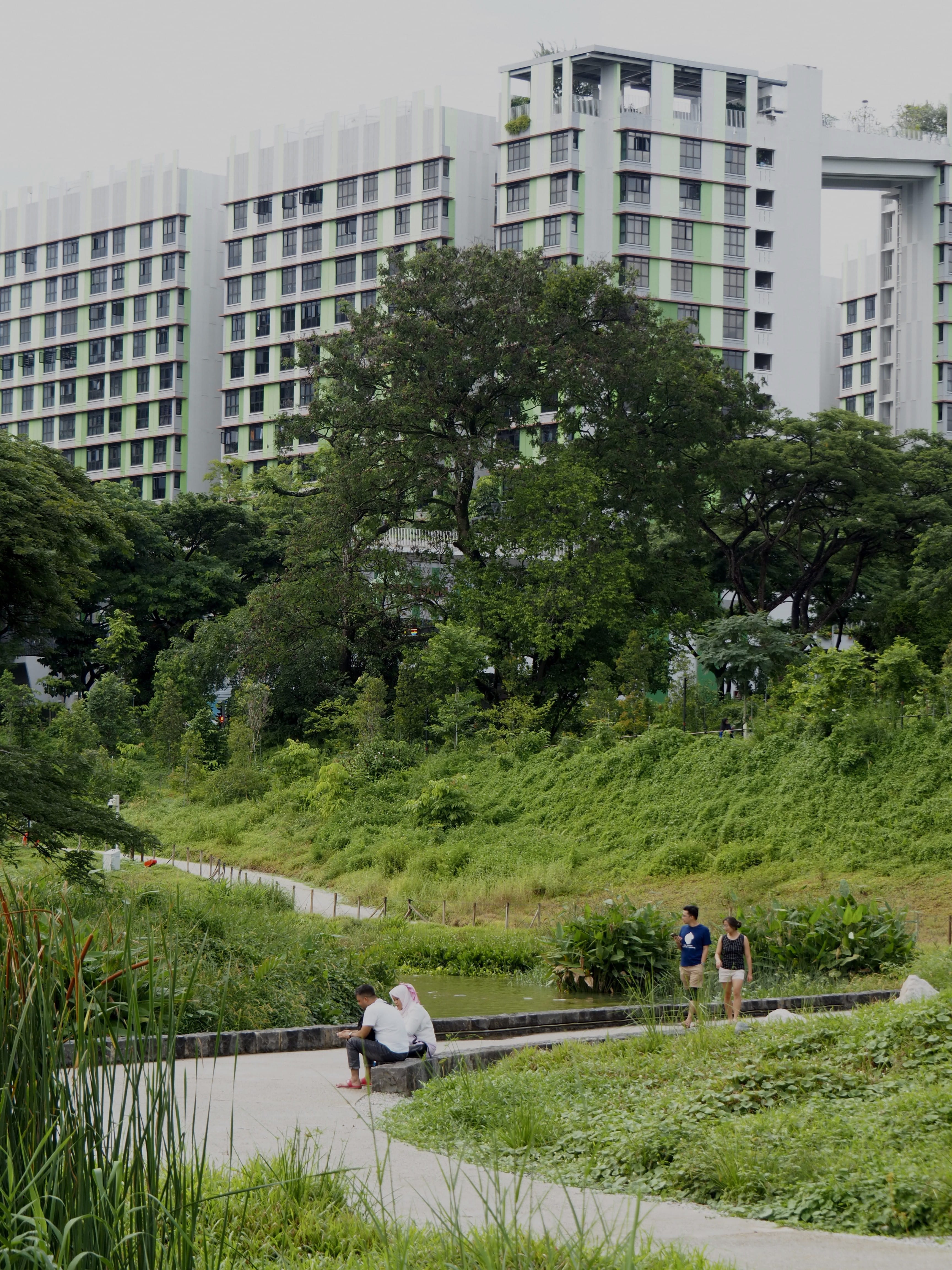 Photo of people relaxing at Bidadari Park