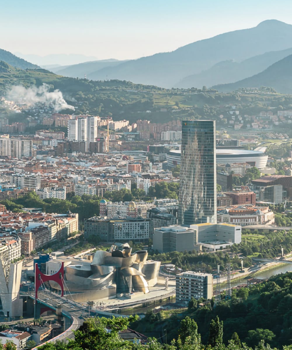 Aerial shot of Bilbao's cityscape