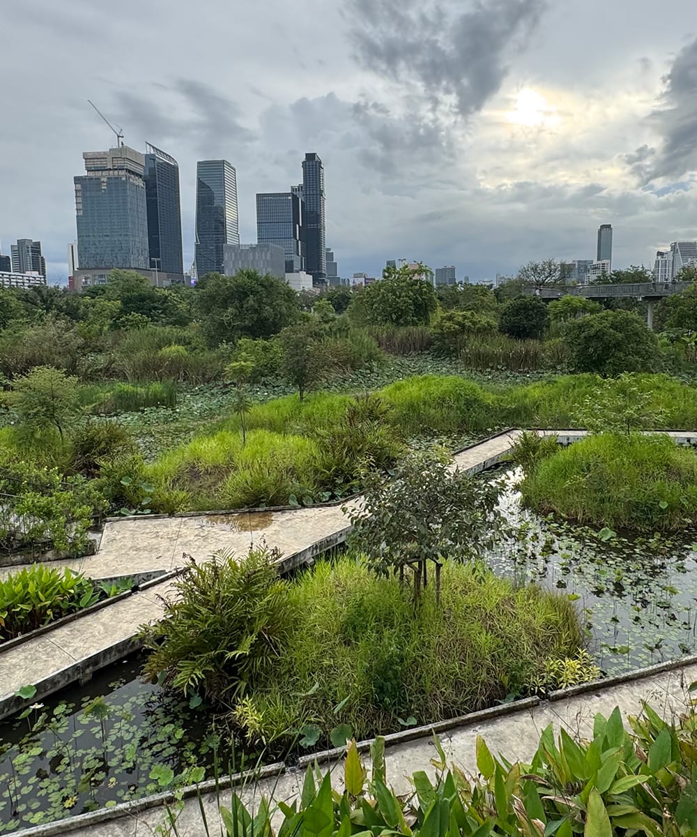 Photo of Benjakitti Forest Park’