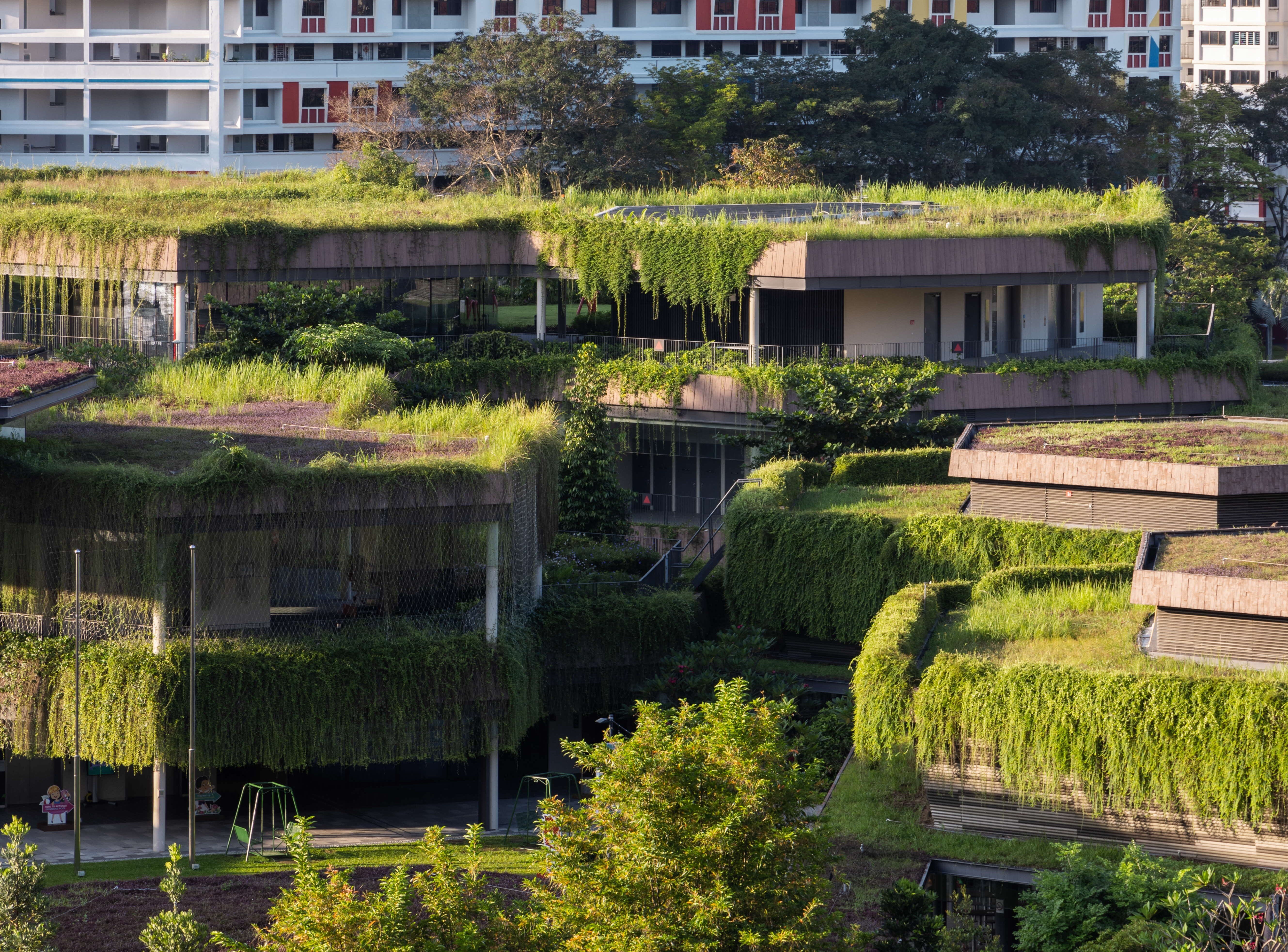 Photo of Bukit Canberra's hexagonal design