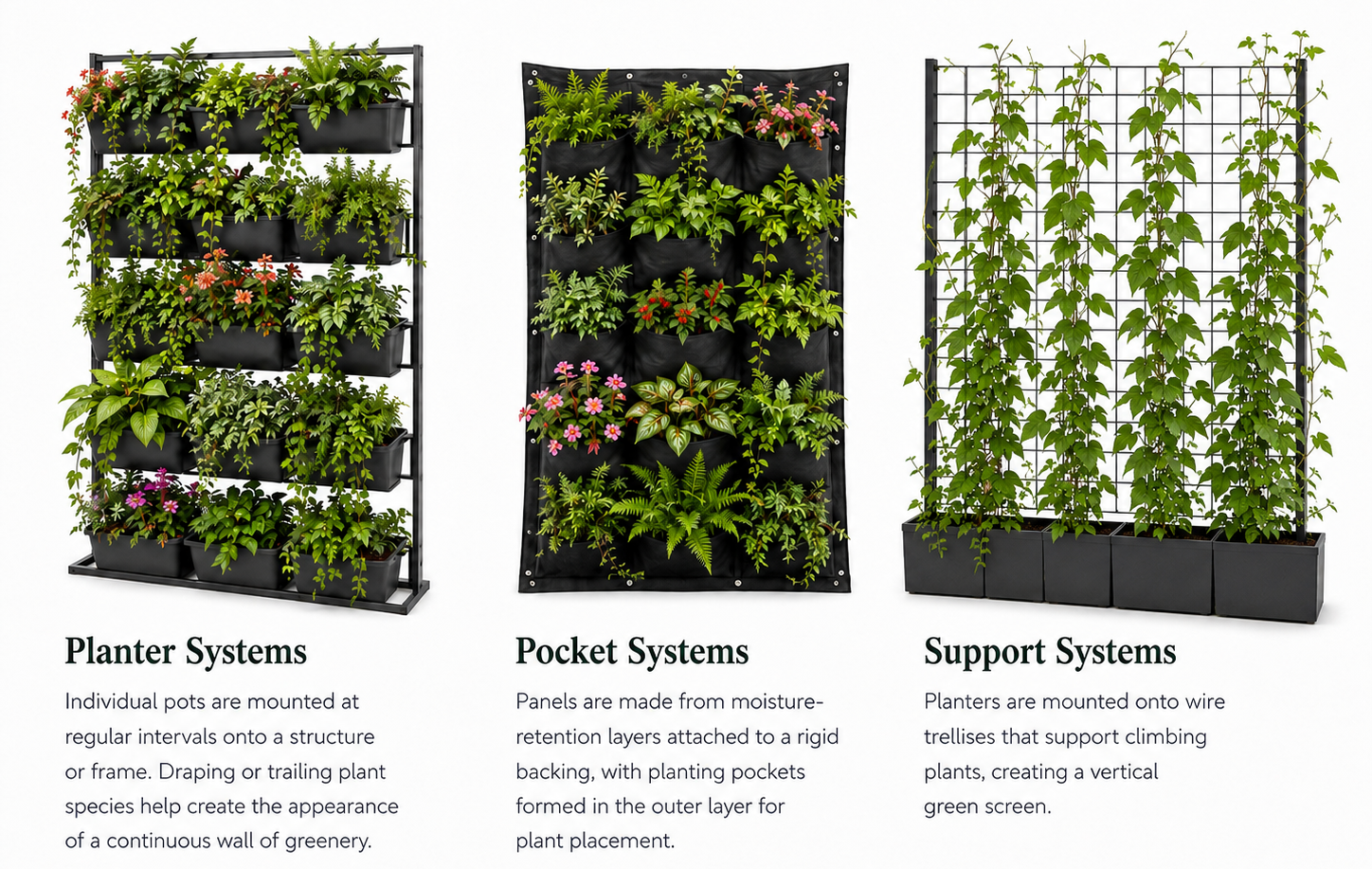 Three vertical garden illustrations: wall-mounted planters, a pocket panel with flowers, and a trellis with a planter box.