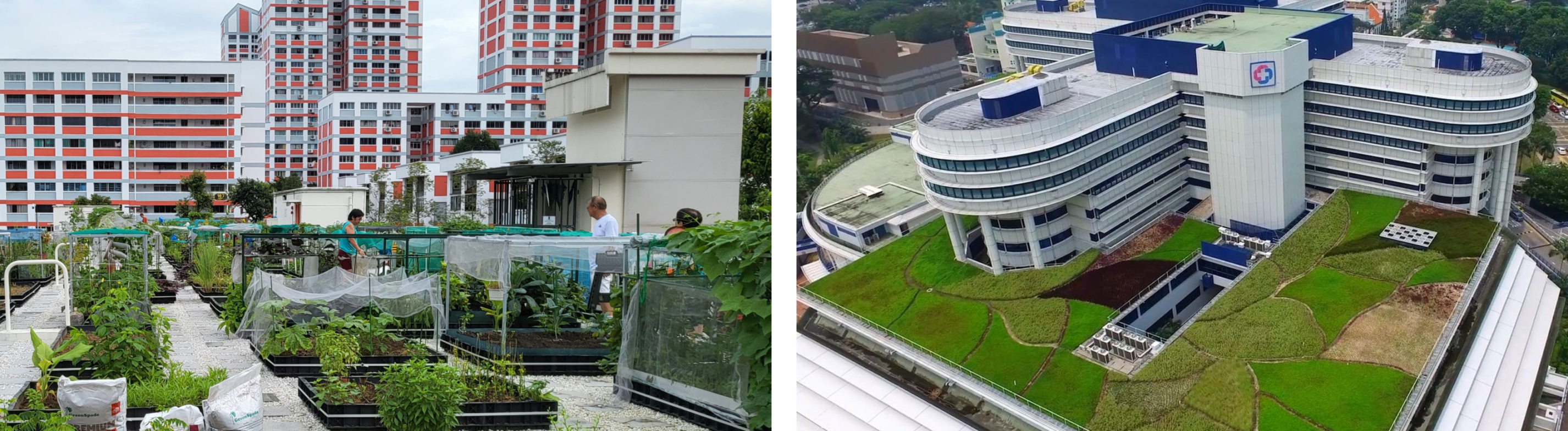 Urban rooftop gardens with planters and netting; apartment blocks left, large curved office building right.