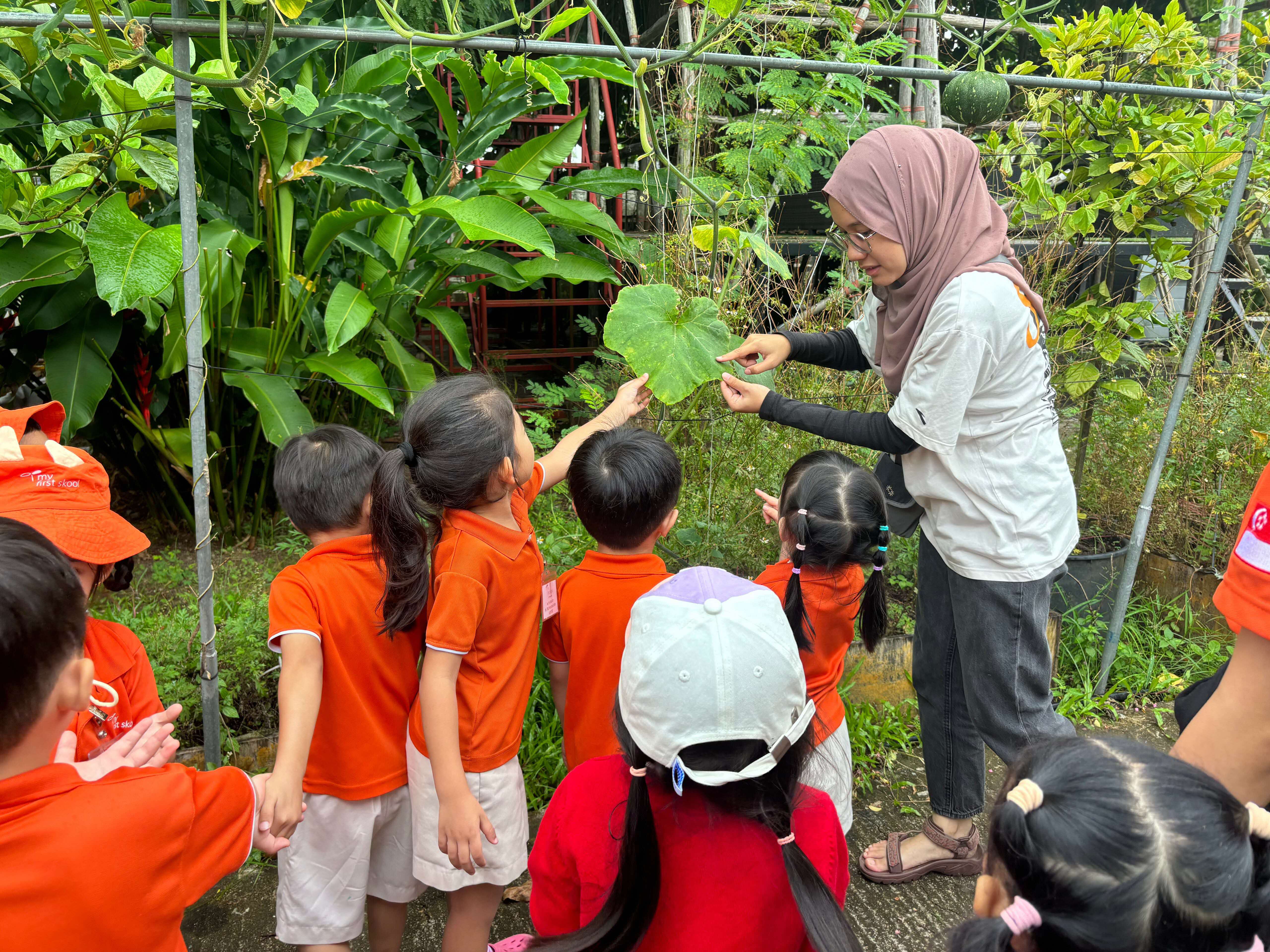 A woman in a hijab shows a large green leaf to young children in orange uniforms in a lush garden.