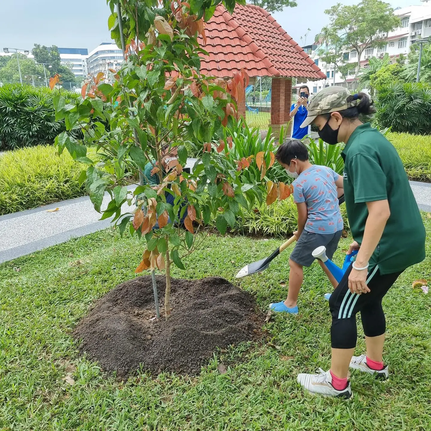 A masked adult and child use shovels to plant a young tree in a park with buildings in the background.