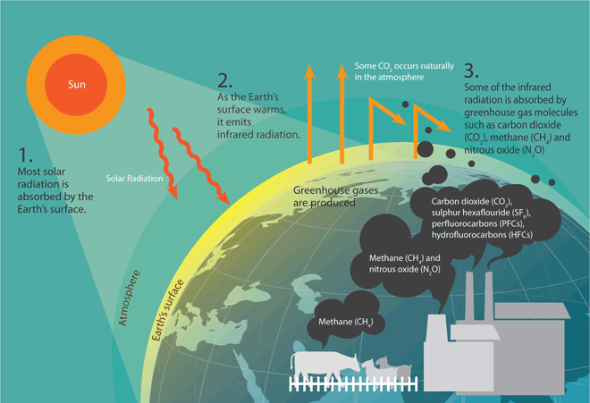 Diagram showing how solar radiation hits Earth, warms its surface, emits infrared radiation, and is trapped by greenhouse gases.