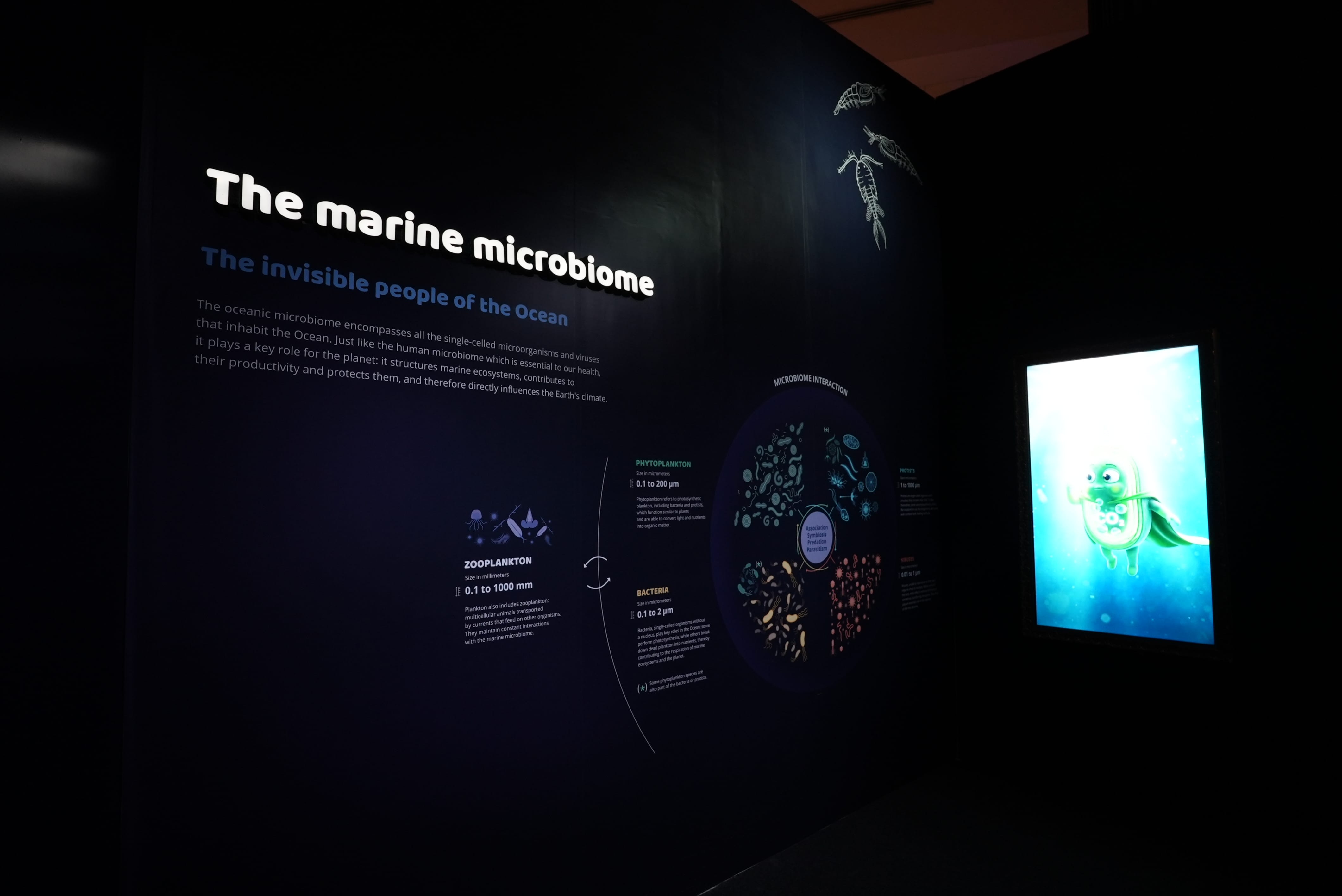 Photo of The Marine Microbiome section of the exhibition