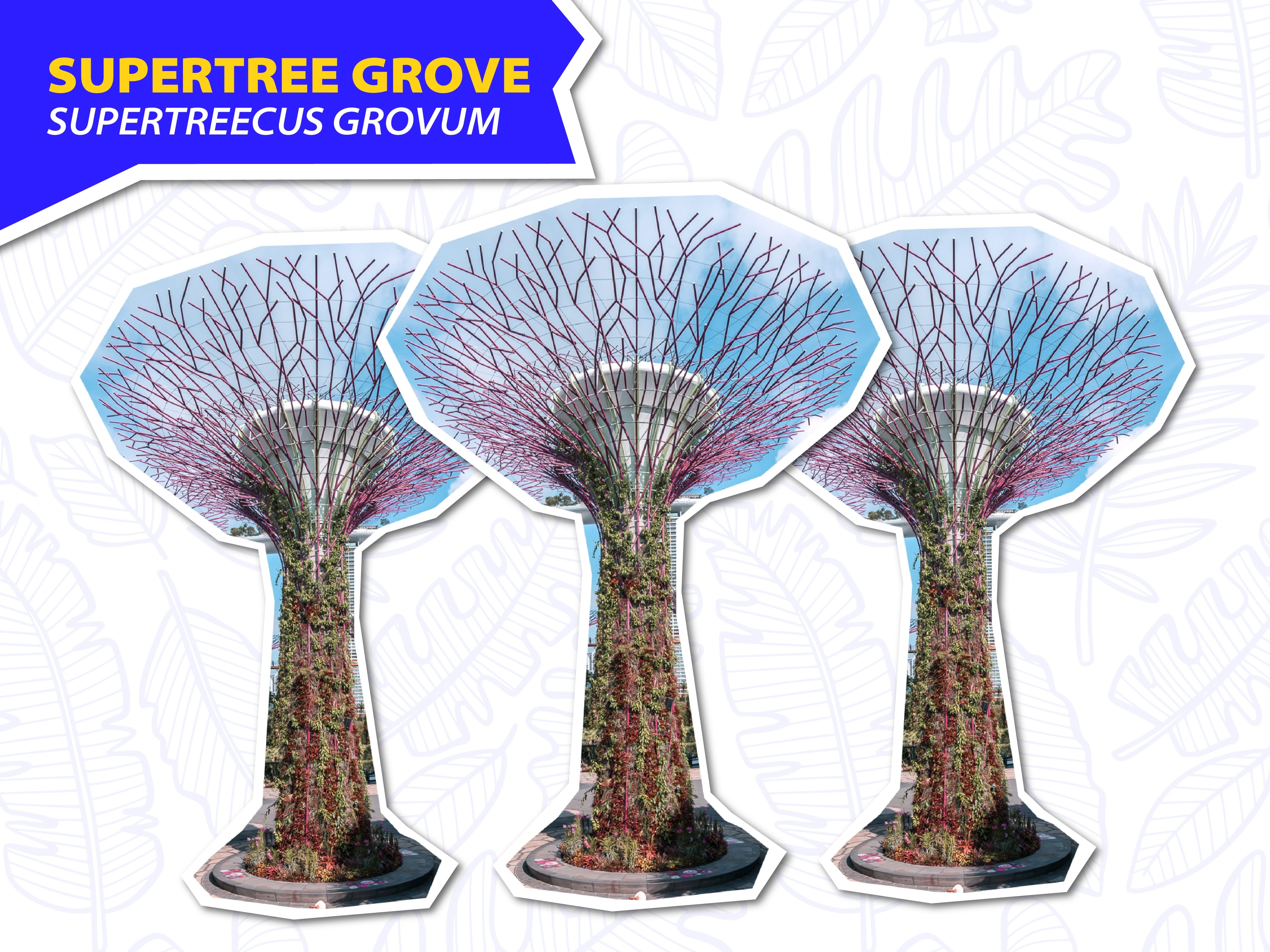 Three tall Supertree Grove structures with plant-covered trunks and branching canopies, labeled "Supertree Grove."
