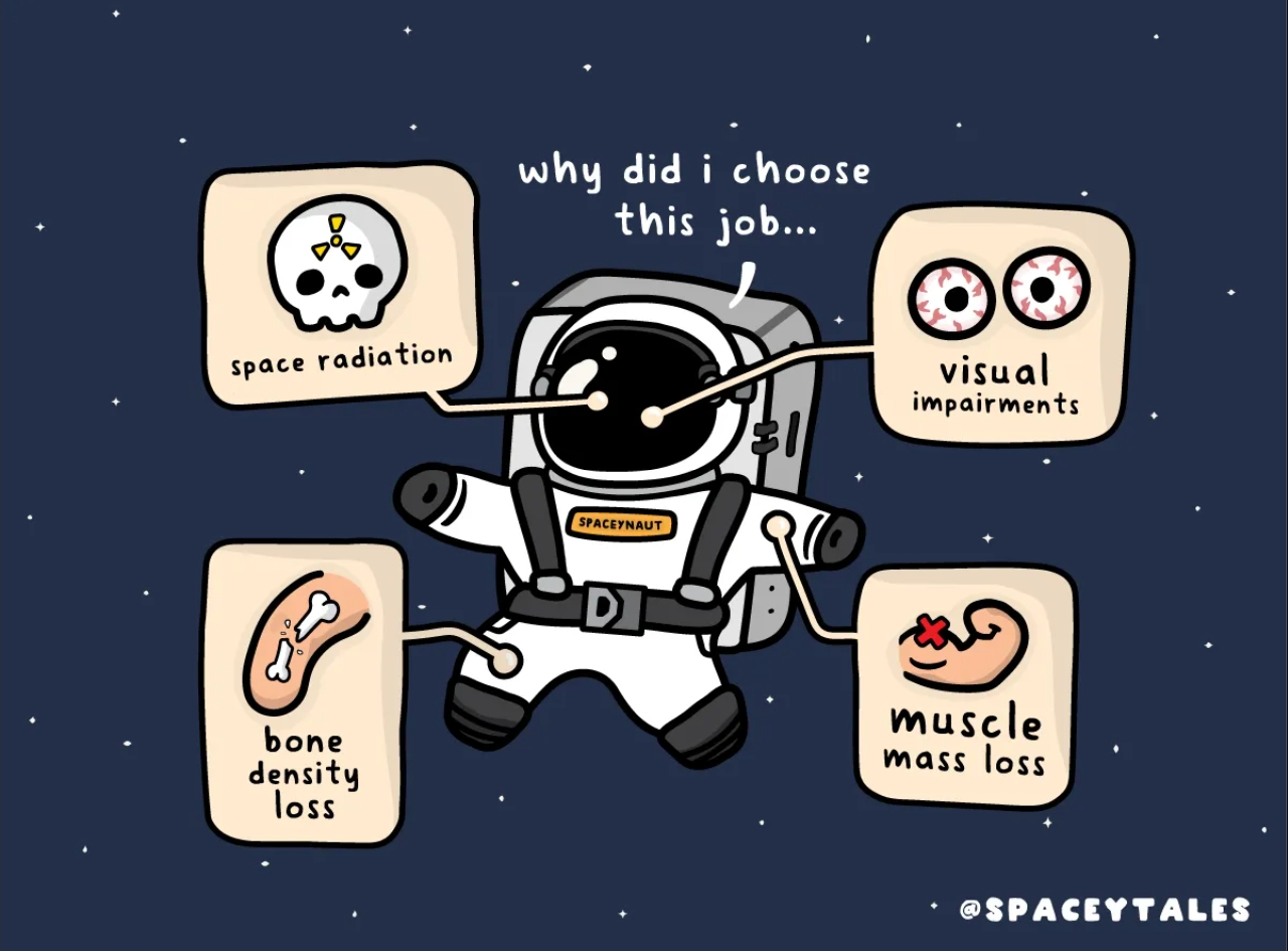 Cartoon astronaut floating in space labeled with four health risks: space radiation, visual impairments, bone density loss, and muscle mass loss.