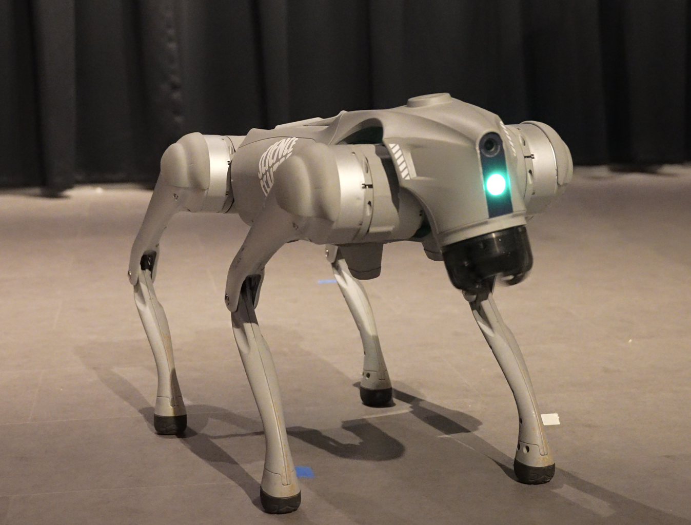 Robot dog