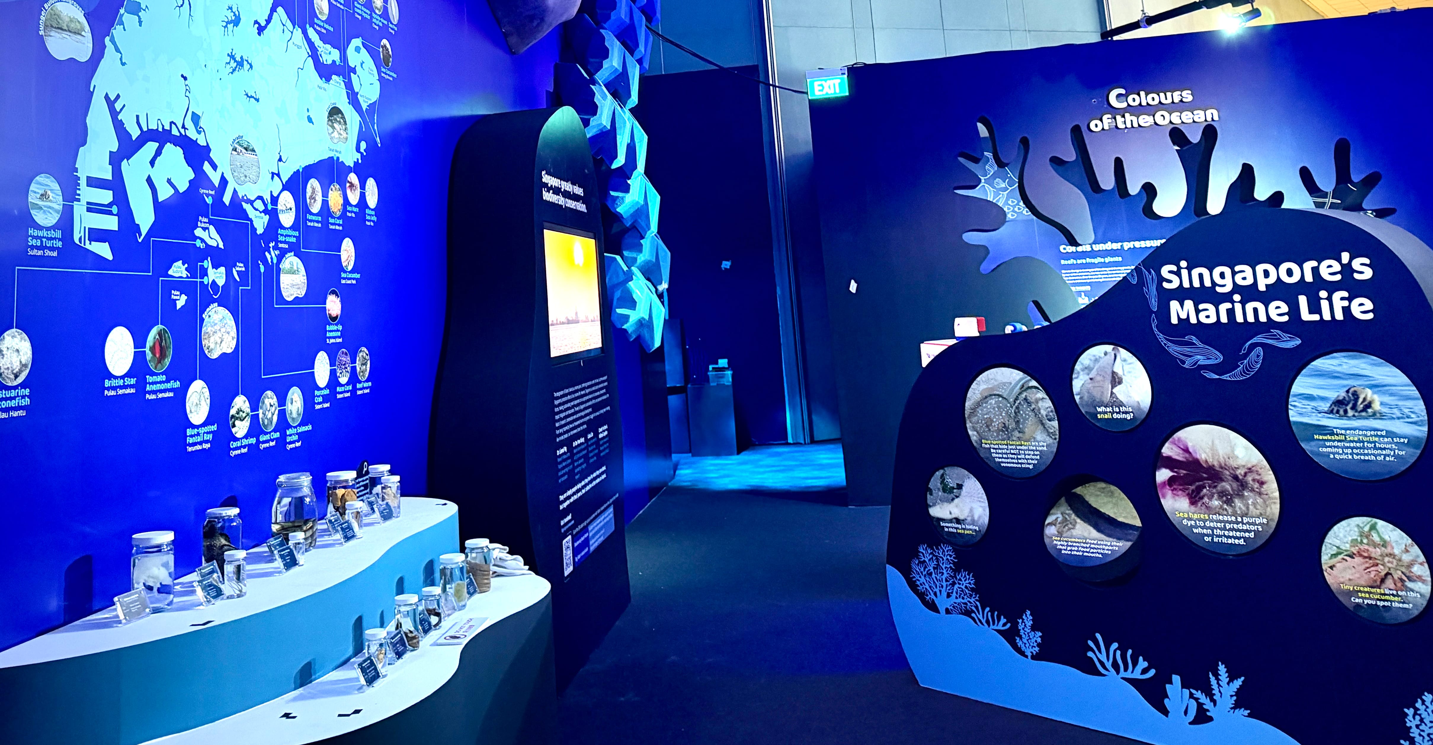 Photo of Tides of the Red Dot section of the exhibition