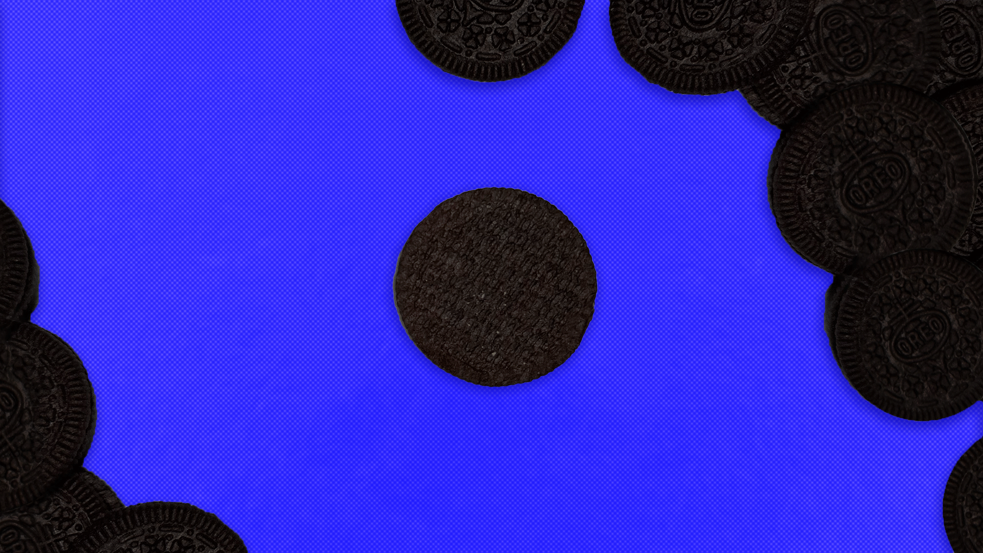 Several dark chocolate sandwich cookies scattered on a bright blue background, one plain wafer in the center.