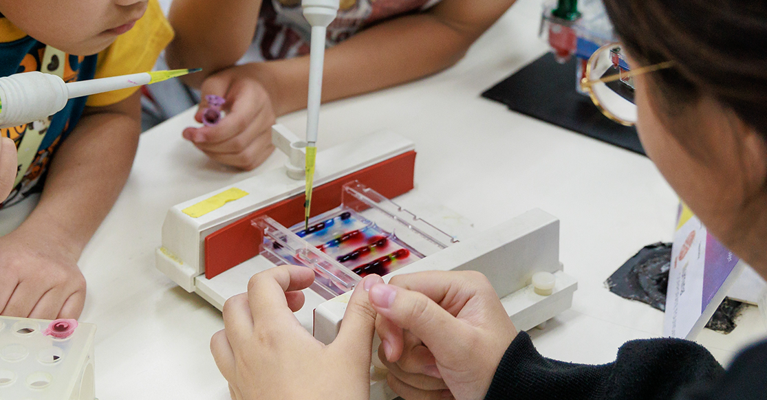 Children use pipettes to add colored liquid into a small gel electrophoresis device on a white table.